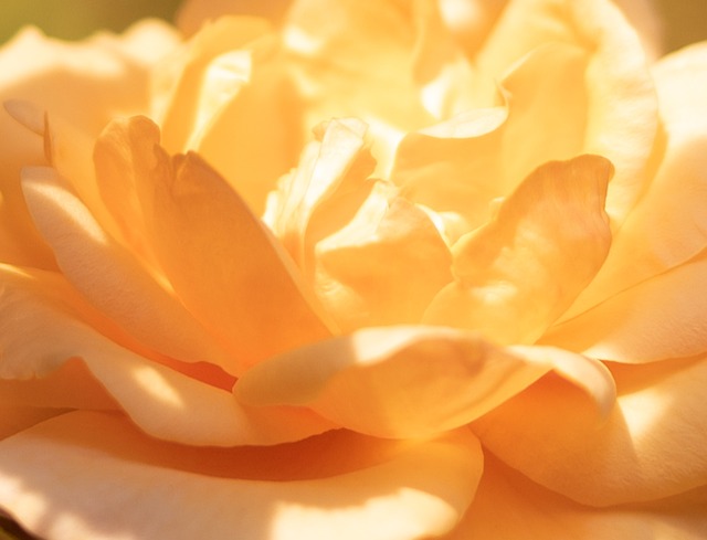 img3.webp
